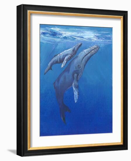 Under Sea Whales I-Tim O'toole-Framed Art Print