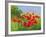 Under Summer Skies-Mary Dipnall-Framed Giclee Print