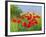 Under Summer Skies-Mary Dipnall-Framed Giclee Print