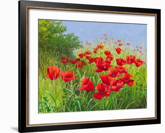 Under Summer Skies-Mary Dipnall-Framed Giclee Print