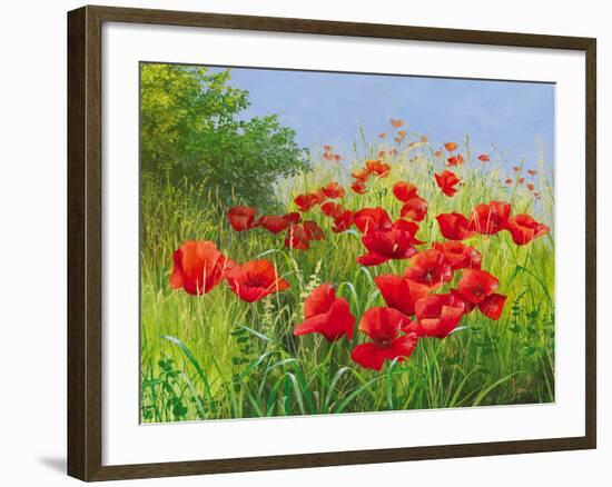 Under Summer Skies-Mary Dipnall-Framed Giclee Print