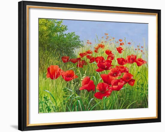 Under Summer Skies-Mary Dipnall-Framed Giclee Print