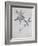 Under-Surface of a Dried Spray of Olive-John Ruskin-Framed Giclee Print