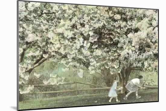 Under the Apple Blossom Tree-Betsy Cameron-Mounted Art Print