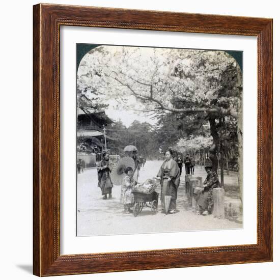 Under the Cherry Blossoms, Looking Northeast Along the Main Avenue of Shiba Park, Tokyo, Japan-Underwood & Underwood-Framed Photographic Print