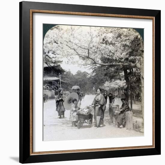 Under the Cherry Blossoms, Looking Northeast Along the Main Avenue of Shiba Park, Tokyo, Japan-Underwood & Underwood-Framed Photographic Print