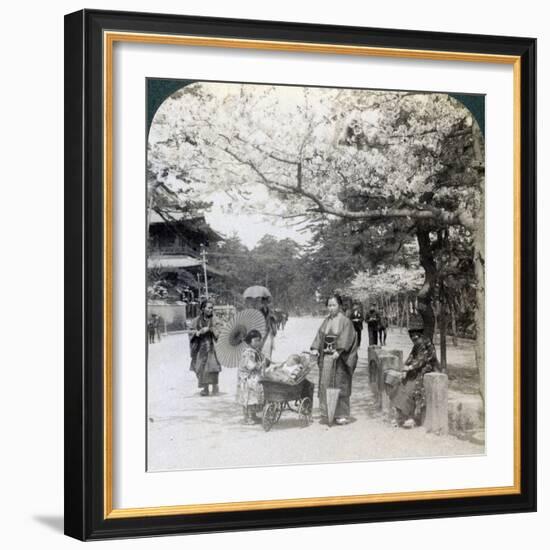 Under the Cherry Blossoms, Looking Northeast Along the Main Avenue of Shiba Park, Tokyo, Japan-Underwood & Underwood-Framed Photographic Print