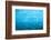 Under the Glacier, Perito Moreno, Argentina, South America-Mark Chivers-Framed Photographic Print