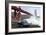 Under the Golden Gate Bridge, San Francisco-Gasoline Images-Framed Giclee Print