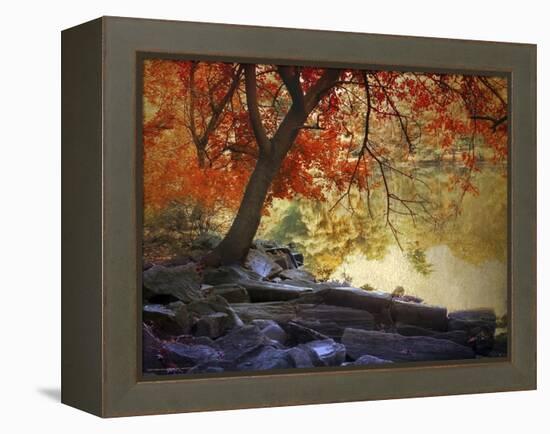 Under the Maple Tree-Jessica Jenney-Framed Premier Image Canvas