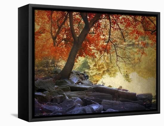 Under the Maple Tree-Jessica Jenney-Framed Premier Image Canvas