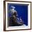 Under the Midnight Blues, 2003-Colin Bootman-Framed Giclee Print