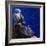 Under the Midnight Blues, 2003-Colin Bootman-Framed Giclee Print