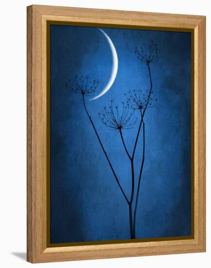 Under the Moon 1-Philippe Sainte-Laudy-Framed Premier Image Canvas