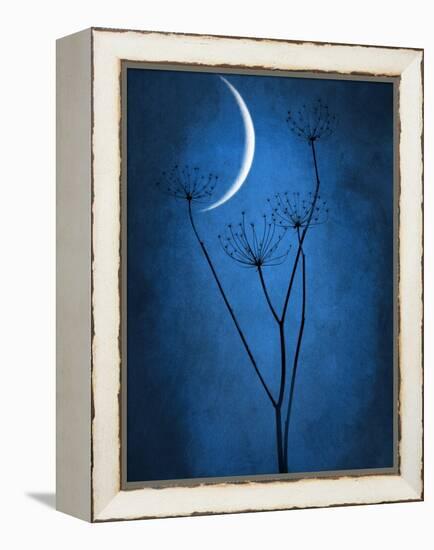 Under the Moon 1-Philippe Sainte-Laudy-Framed Premier Image Canvas