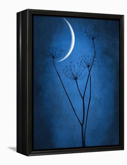 Under the Moon 1-Philippe Sainte-Laudy-Framed Premier Image Canvas