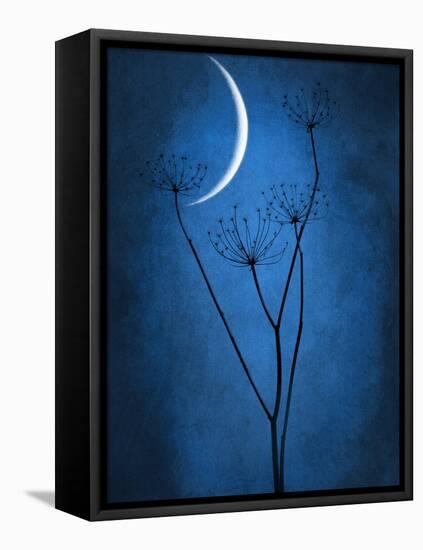 Under the Moon 1-Philippe Sainte-Laudy-Framed Premier Image Canvas