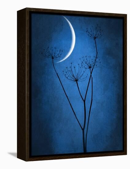 Under the Moon 1-Philippe Sainte-Laudy-Framed Premier Image Canvas