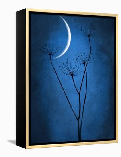 Under the Moon 1-Philippe Sainte-Laudy-Framed Premier Image Canvas