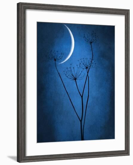 Under the Moon 1-Philippe Sainte-Laudy-Framed Premium Photographic Print
