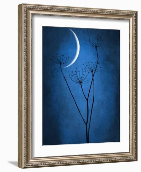 Under the Moon 1-Philippe Sainte-Laudy-Framed Photographic Print