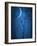 Under the Moon 1-Philippe Sainte-Laudy-Framed Photographic Print