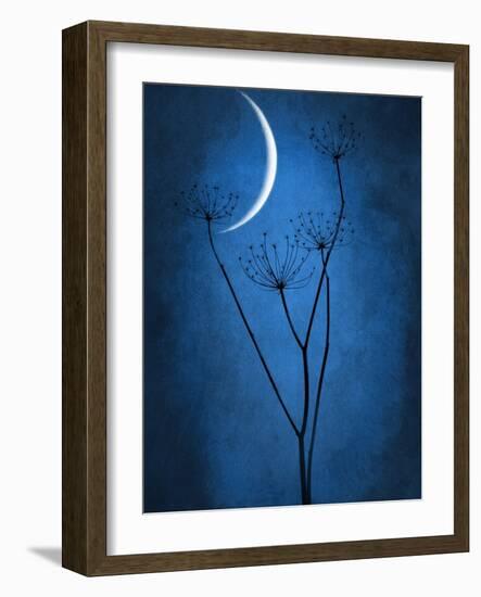 Under the Moon 1-Philippe Sainte-Laudy-Framed Photographic Print