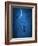 Under the Moon 1-Philippe Sainte-Laudy-Framed Photographic Print