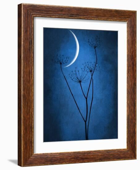 Under the Moon 1-Philippe Sainte-Laudy-Framed Photographic Print