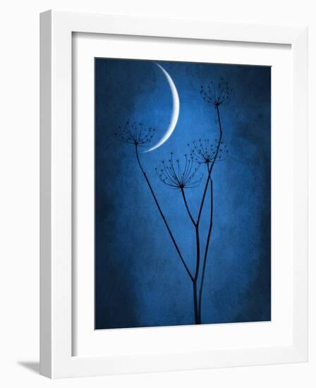 Under the Moon 1-Philippe Sainte-Laudy-Framed Photographic Print