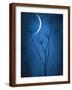 Under the Moon 1-Philippe Sainte-Laudy-Framed Photographic Print