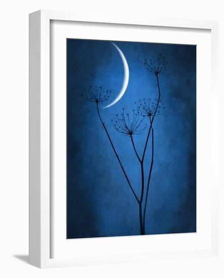 Under the Moon 1-Philippe Sainte-Laudy-Framed Photographic Print