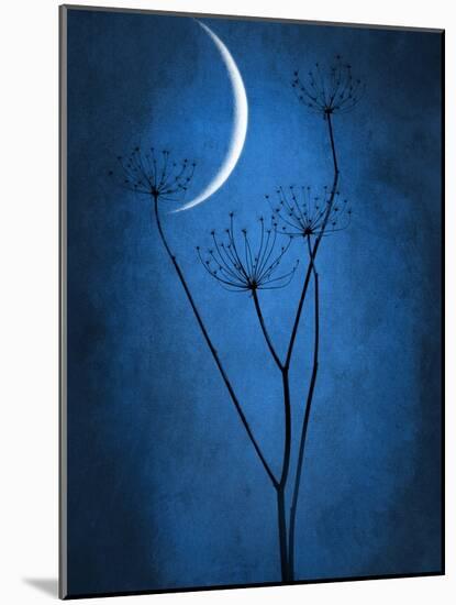 Under the Moon 1-Philippe Sainte-Laudy-Mounted Photographic Print