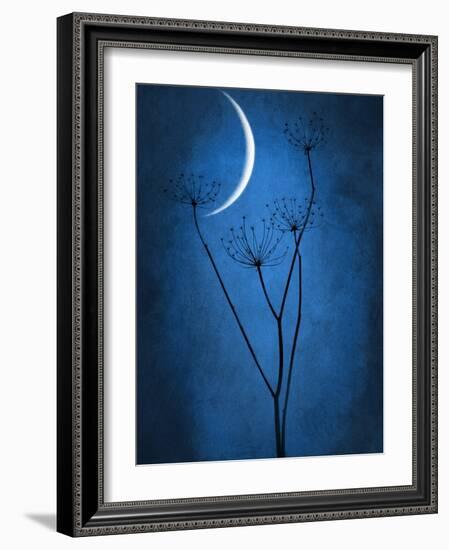 Under the Moon 1-Philippe Sainte-Laudy-Framed Photographic Print