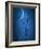 Under the Moon 1-Philippe Sainte-Laudy-Framed Photographic Print