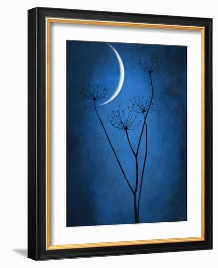 Under the Moon 1-Philippe Sainte-Laudy-Framed Photographic Print