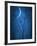 Under the Moon 1-Philippe Sainte-Laudy-Framed Photographic Print