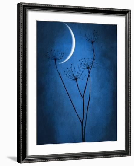 Under the Moon 1-Philippe Sainte-Laudy-Framed Photographic Print