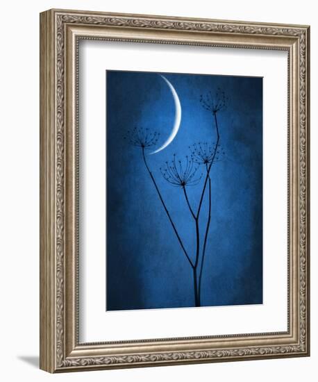 Under the Moon 1-Philippe Sainte-Laudy-Framed Photographic Print
