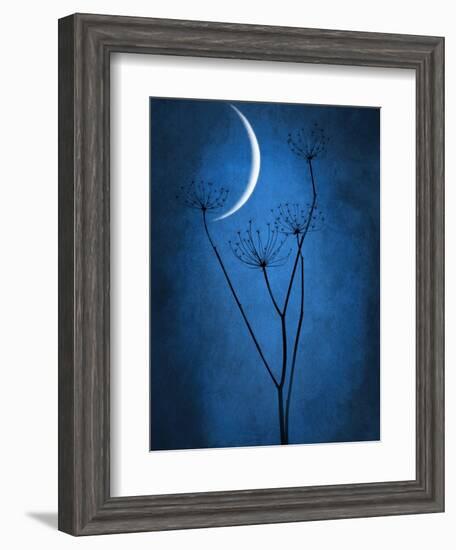 Under the Moon 1-Philippe Sainte-Laudy-Framed Photographic Print