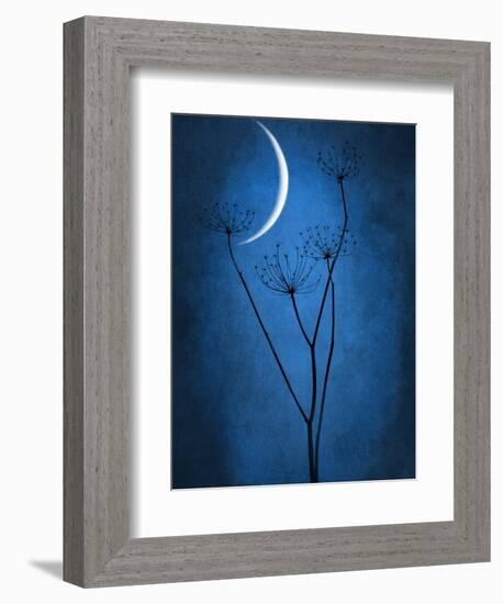 Under the Moon 1-Philippe Sainte-Laudy-Framed Photographic Print