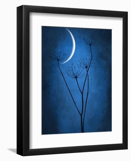 Under the Moon 1-Philippe Sainte-Laudy-Framed Photographic Print