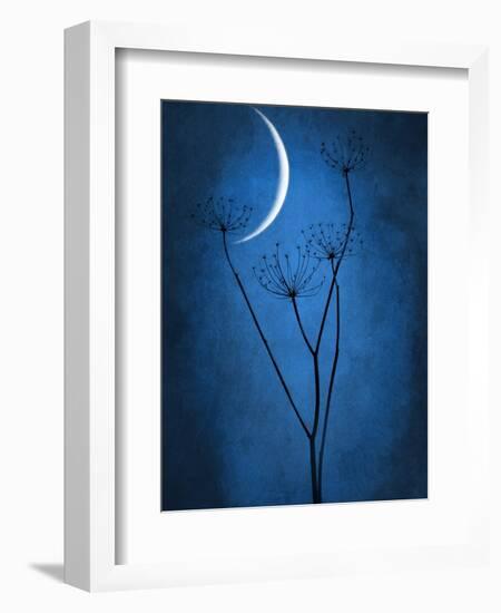 Under the Moon 1-Philippe Sainte-Laudy-Framed Photographic Print