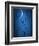 Under the Moon 1-Philippe Sainte-Laudy-Framed Photographic Print