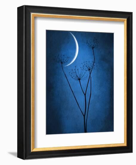 Under the Moon 1-Philippe Sainte-Laudy-Framed Photographic Print