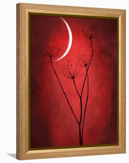 Under the Moon 2-Philippe Sainte-Laudy-Framed Premier Image Canvas