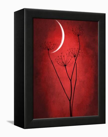 Under the Moon 2-Philippe Sainte-Laudy-Framed Premier Image Canvas