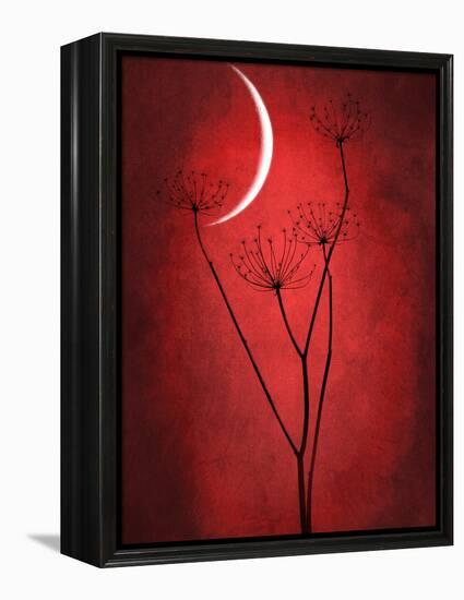 Under the Moon 2-Philippe Sainte-Laudy-Framed Premier Image Canvas
