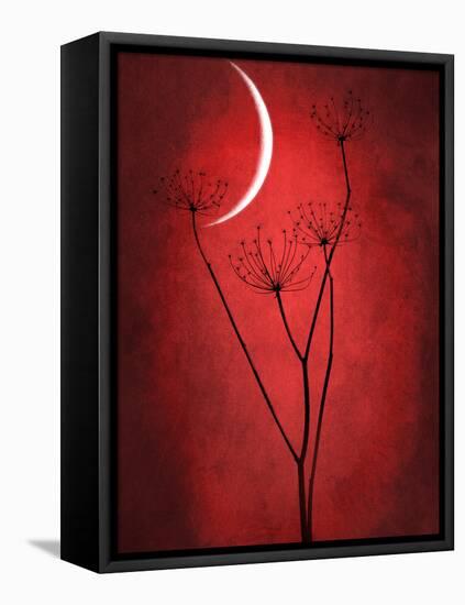 Under the Moon 2-Philippe Sainte-Laudy-Framed Premier Image Canvas