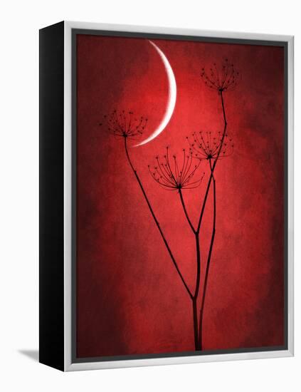 Under the Moon 2-Philippe Sainte-Laudy-Framed Premier Image Canvas
